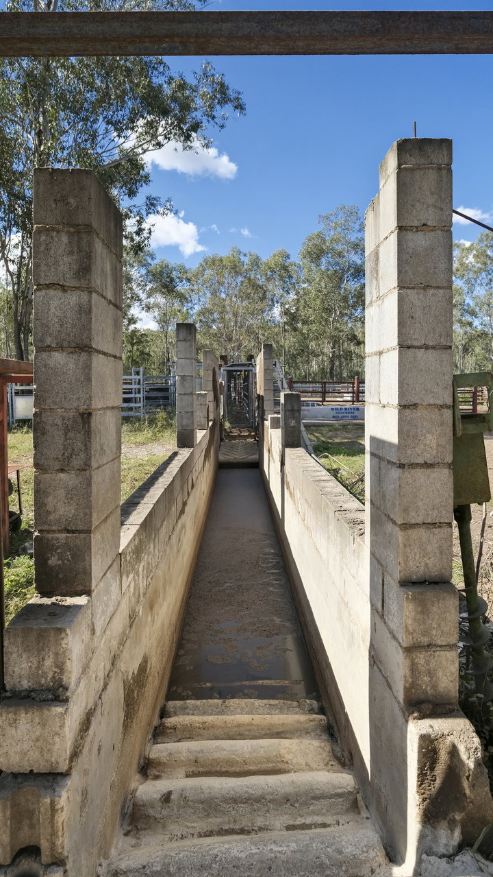 43 & 50 Kaliwa Road, Mingo  QLD  4625