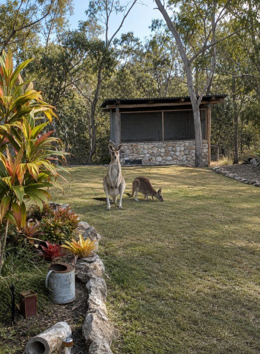 292 Baldaw Road, Captain Creek  QLD  4677