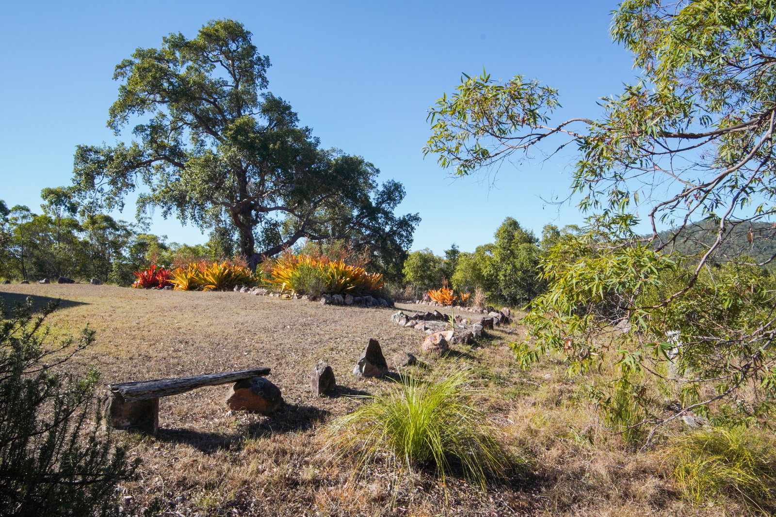 292 Baldaw Road, Captain Creek  QLD  4677