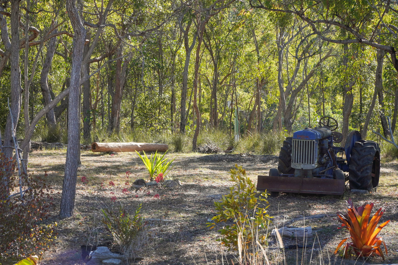 292 Baldaw Road, Captain Creek  QLD  4677