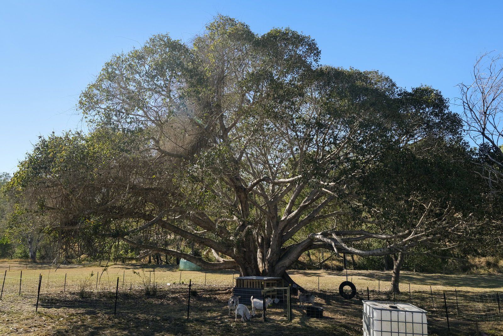 Lot 2 Tunnel Road, Boolboonda  QLD  4671