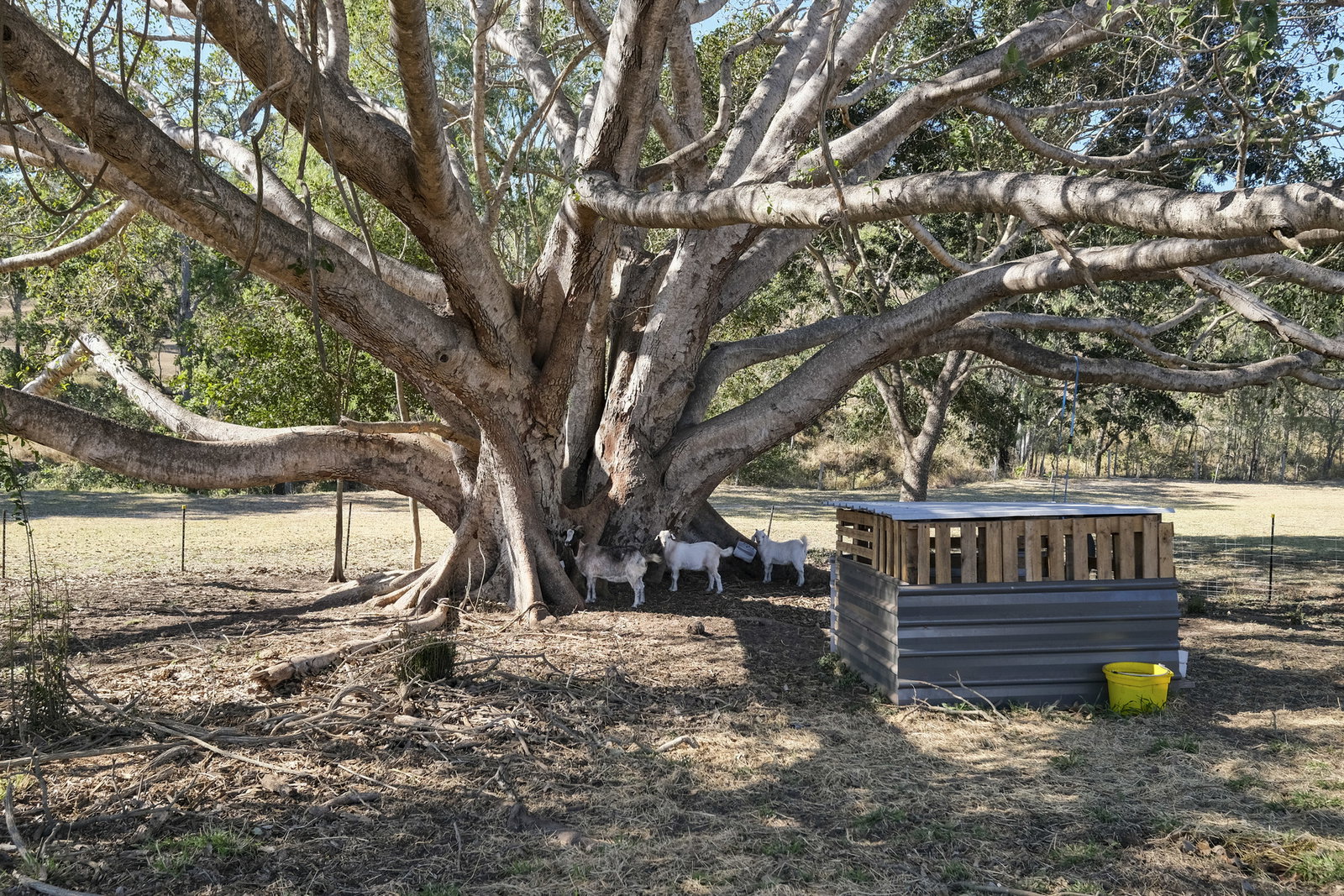Lot 2 Tunnel Road, Boolboonda  QLD  4671