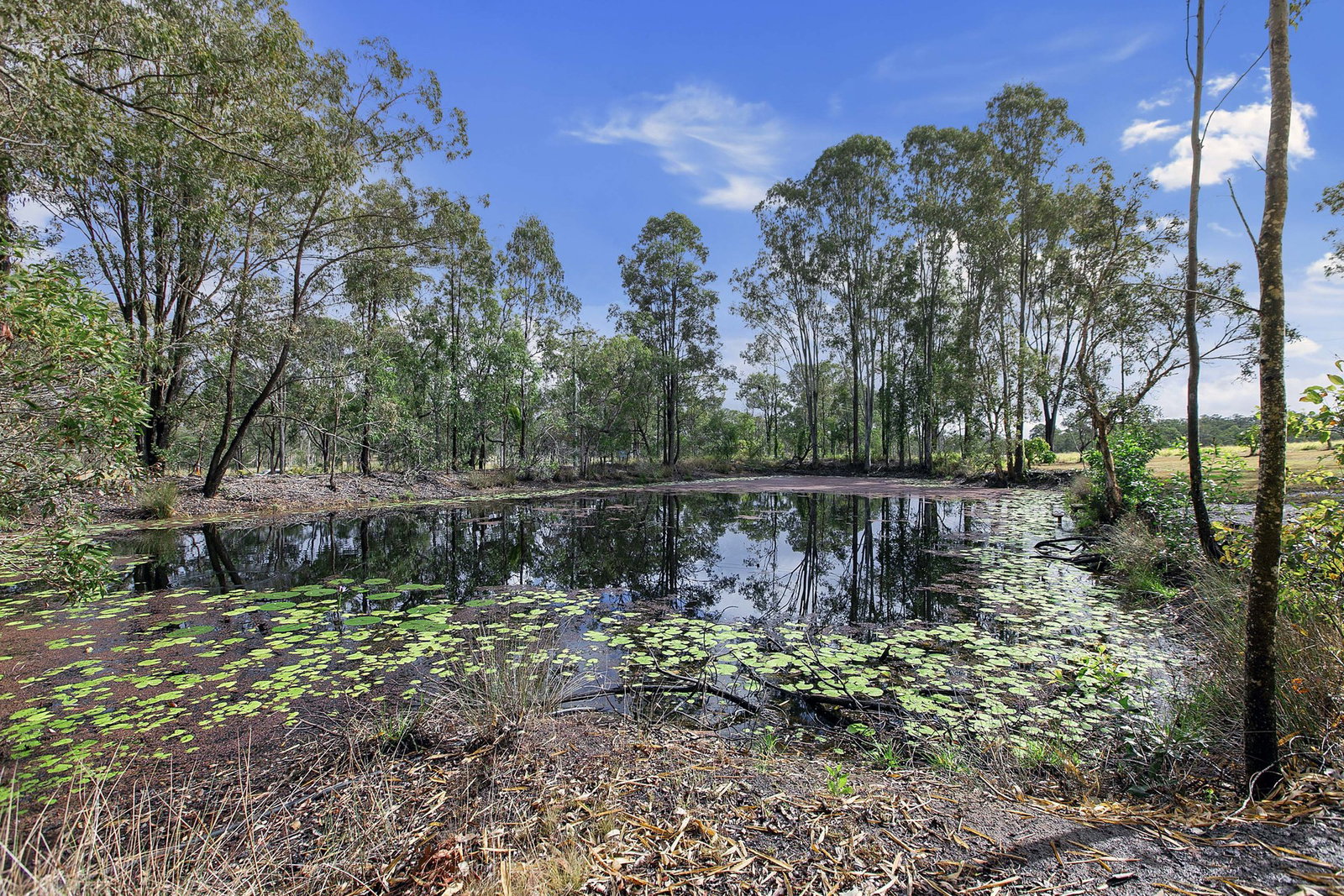 17 Six Mile Road, Glenorchy  QLD  4650