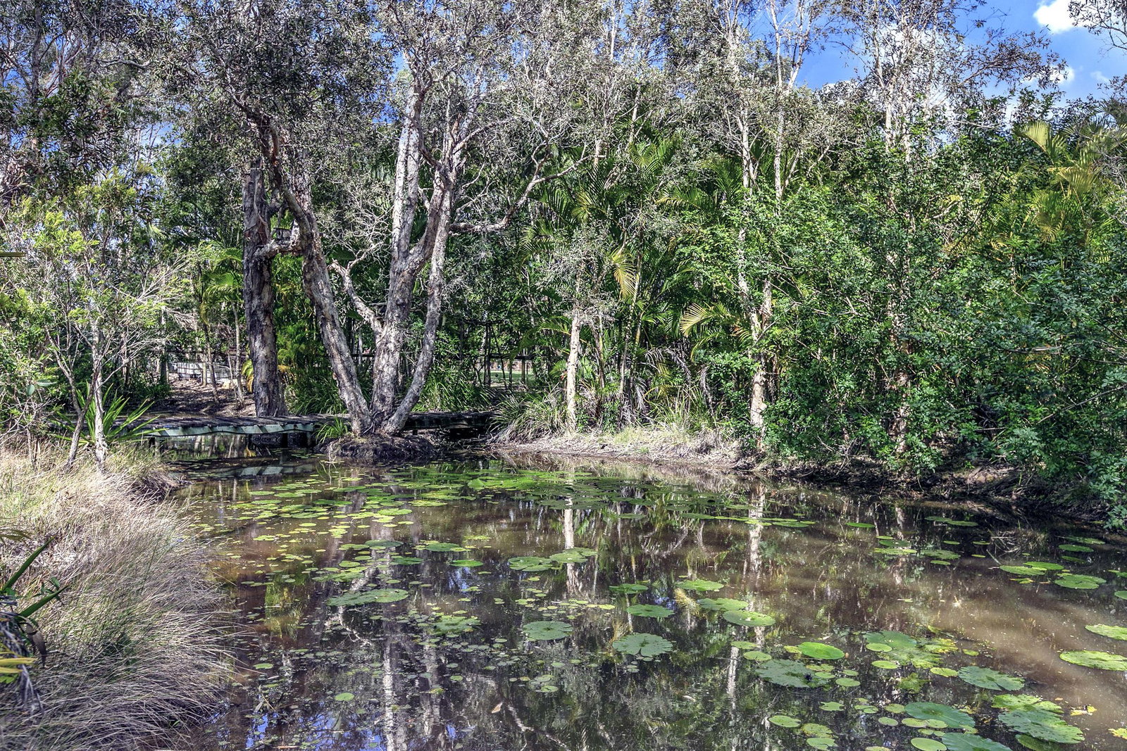 17 Madison Way, Tinana  QLD  4650