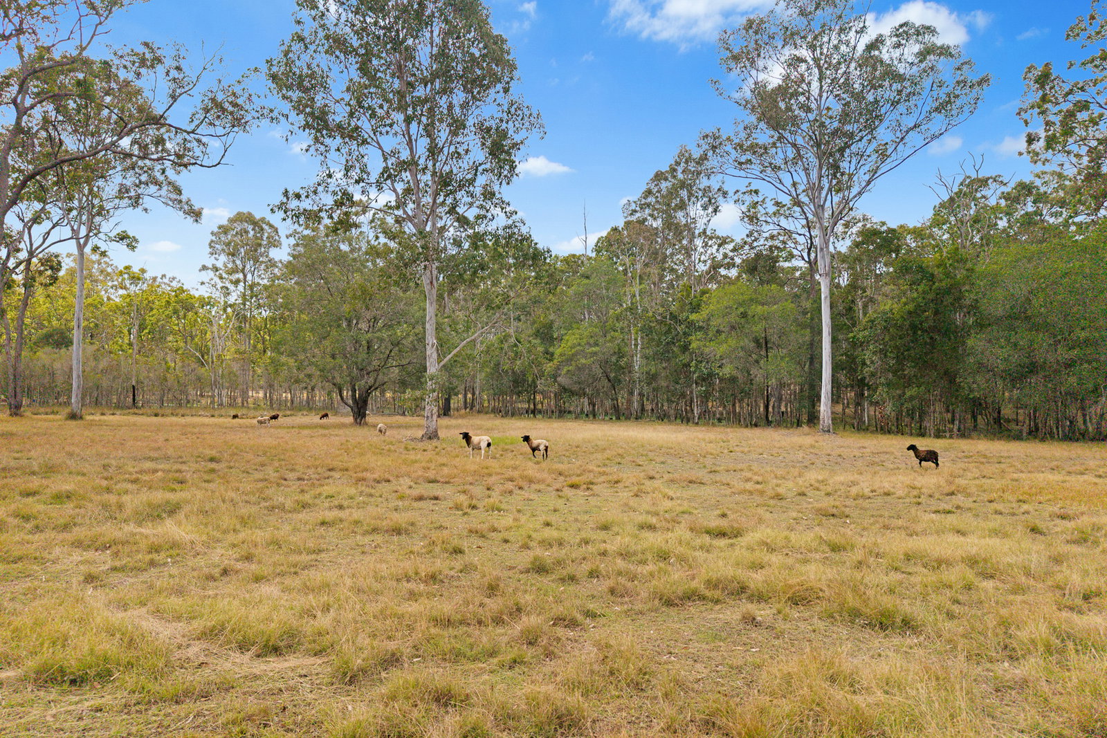 1195 Mungar Road, Mungar  QLD  4650