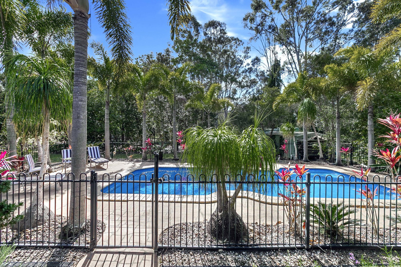 17 Madison Way, Tinana  QLD  4650