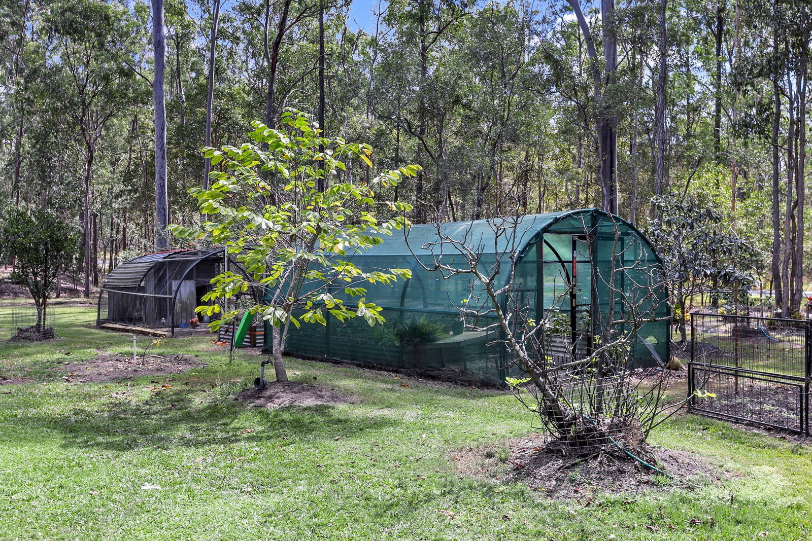 56 Springvale Road, Tinana  QLD  4650