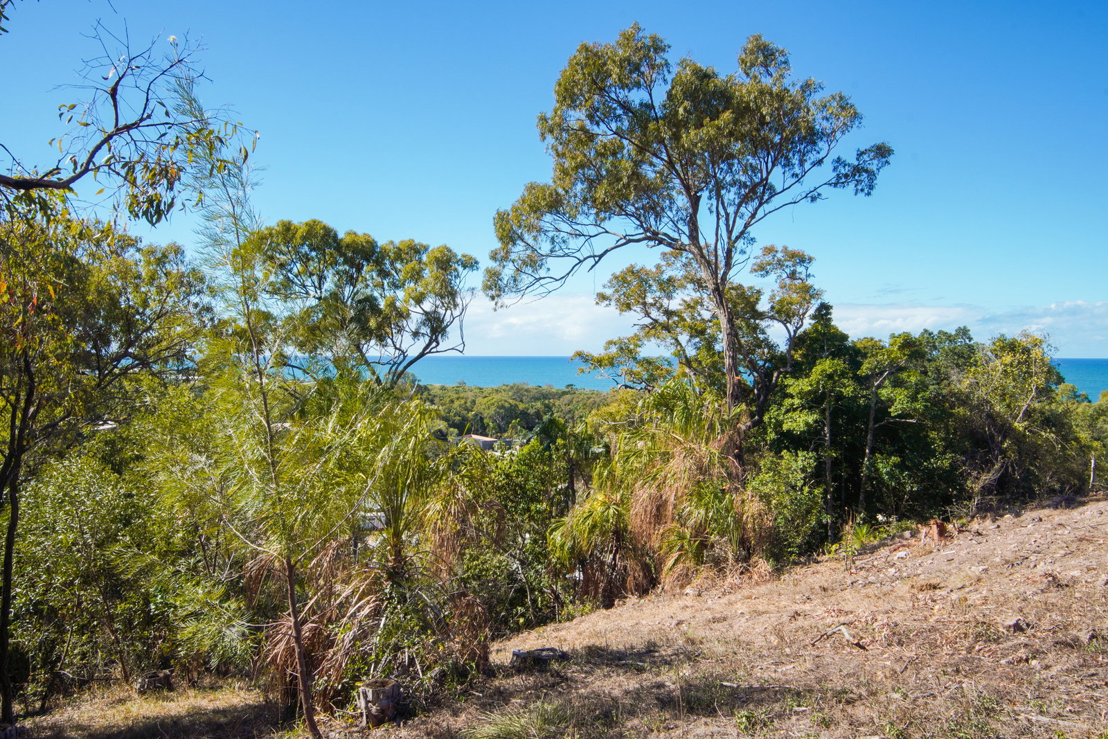 26 Woodrow Drive, Agnes Water  QLD  4677