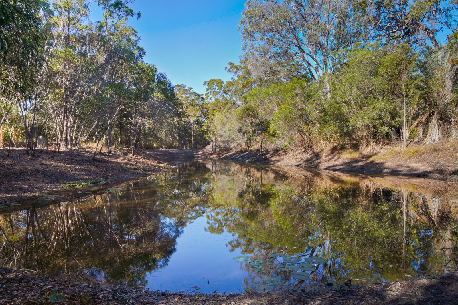 54 Whyte Crescent, Agnes Water  QLD  4677