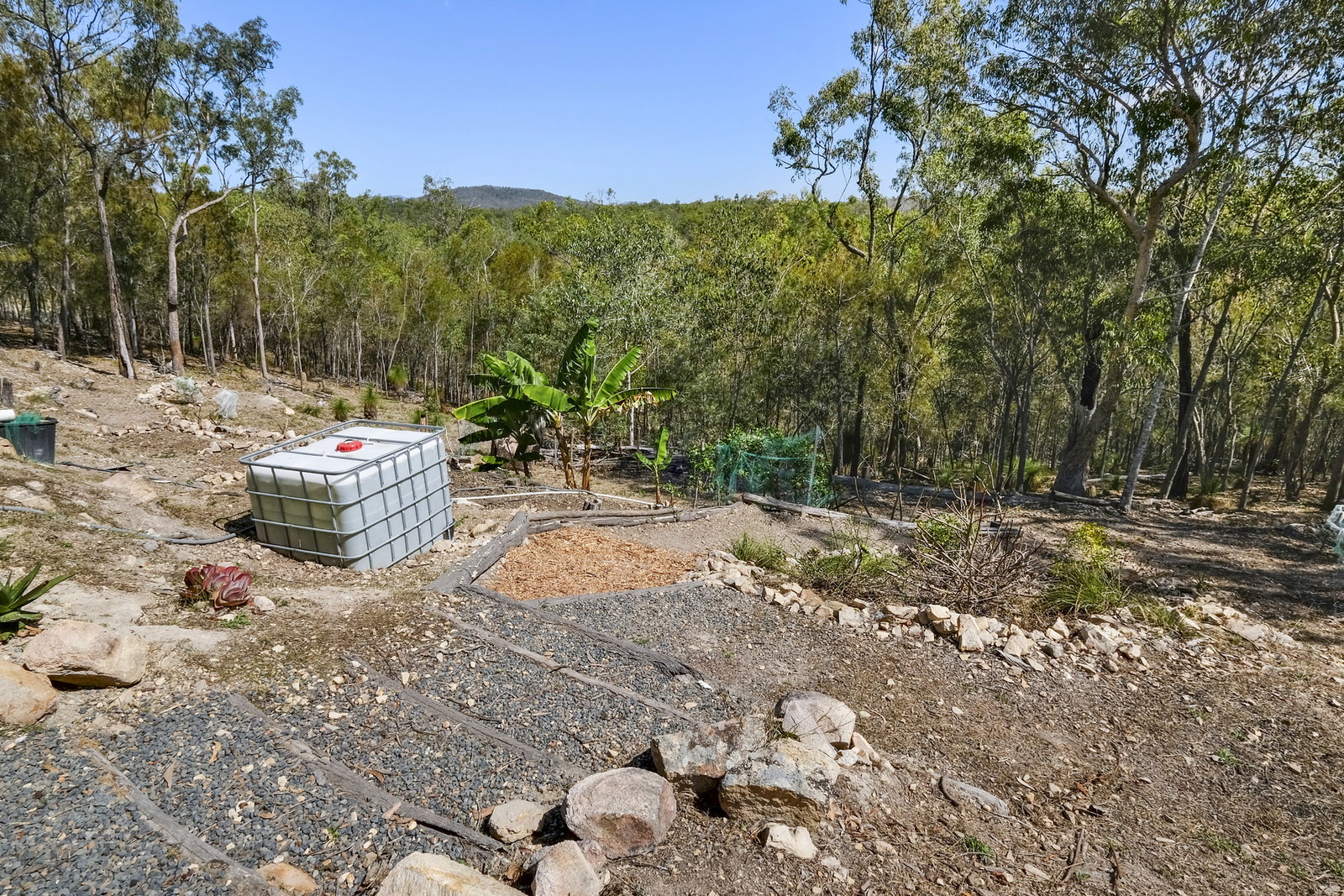 129 Michelles Road, Horse Camp  QLD  4671