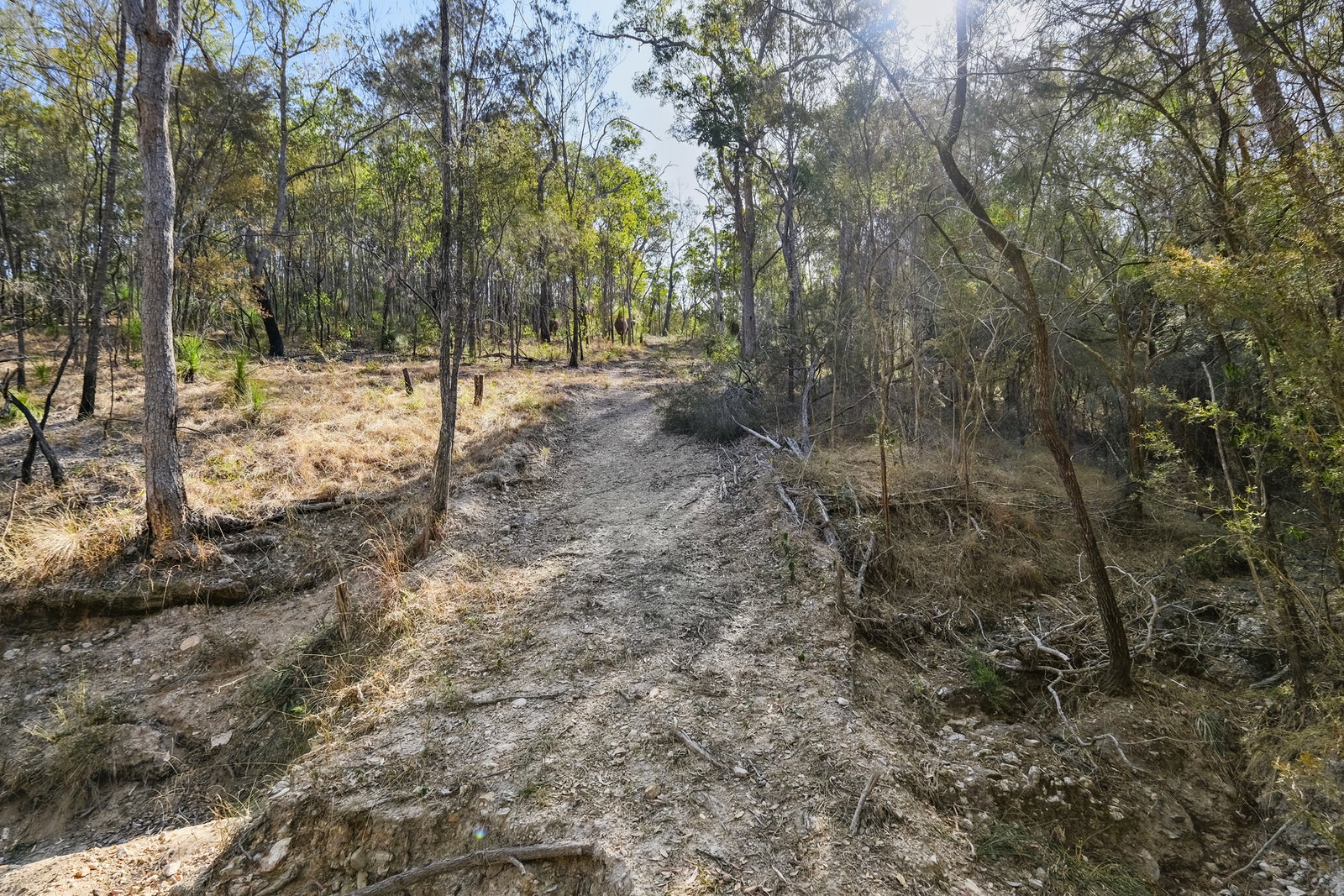 129 Michelles Road, Horse Camp  QLD  4671