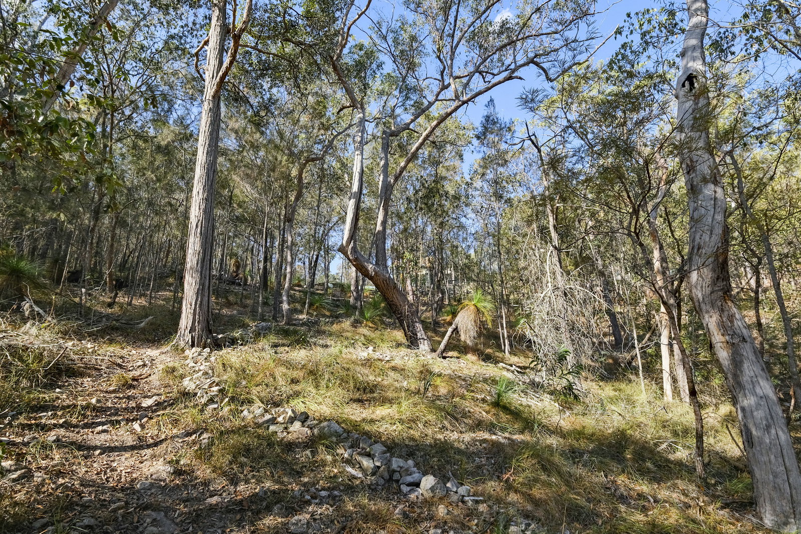 129 Michelles Road, Horse Camp  QLD  4671