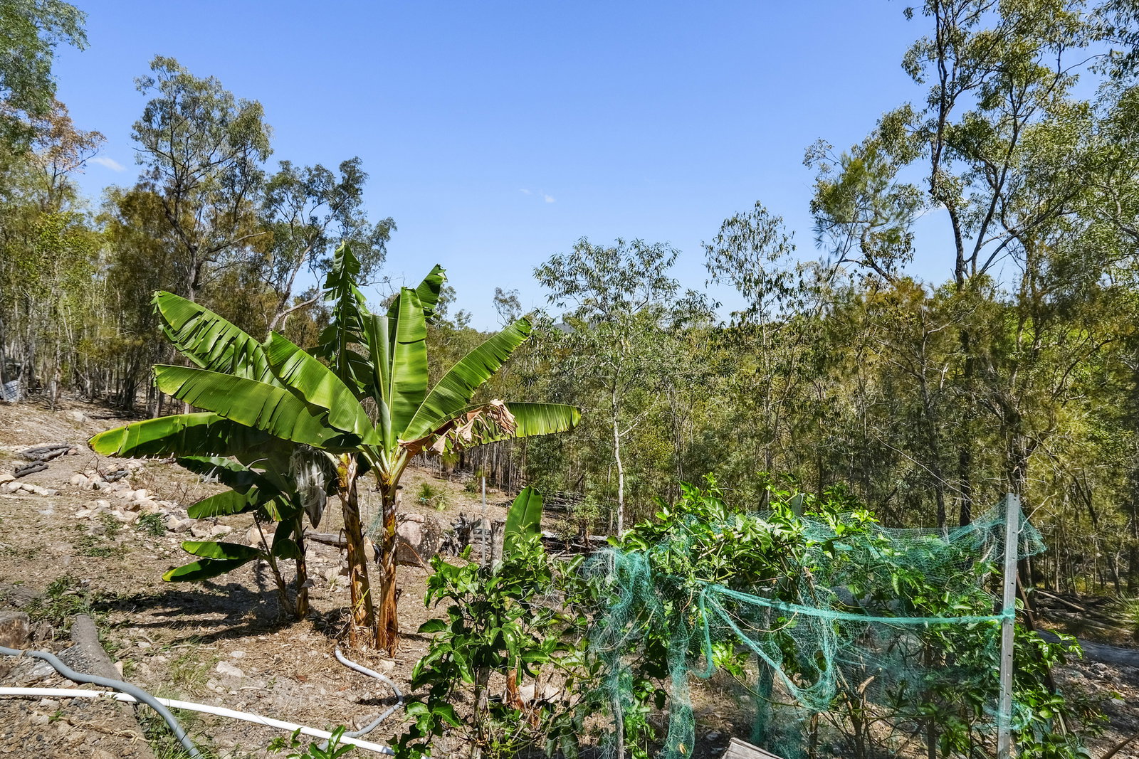 129 Michelles Road, Horse Camp  QLD  4671