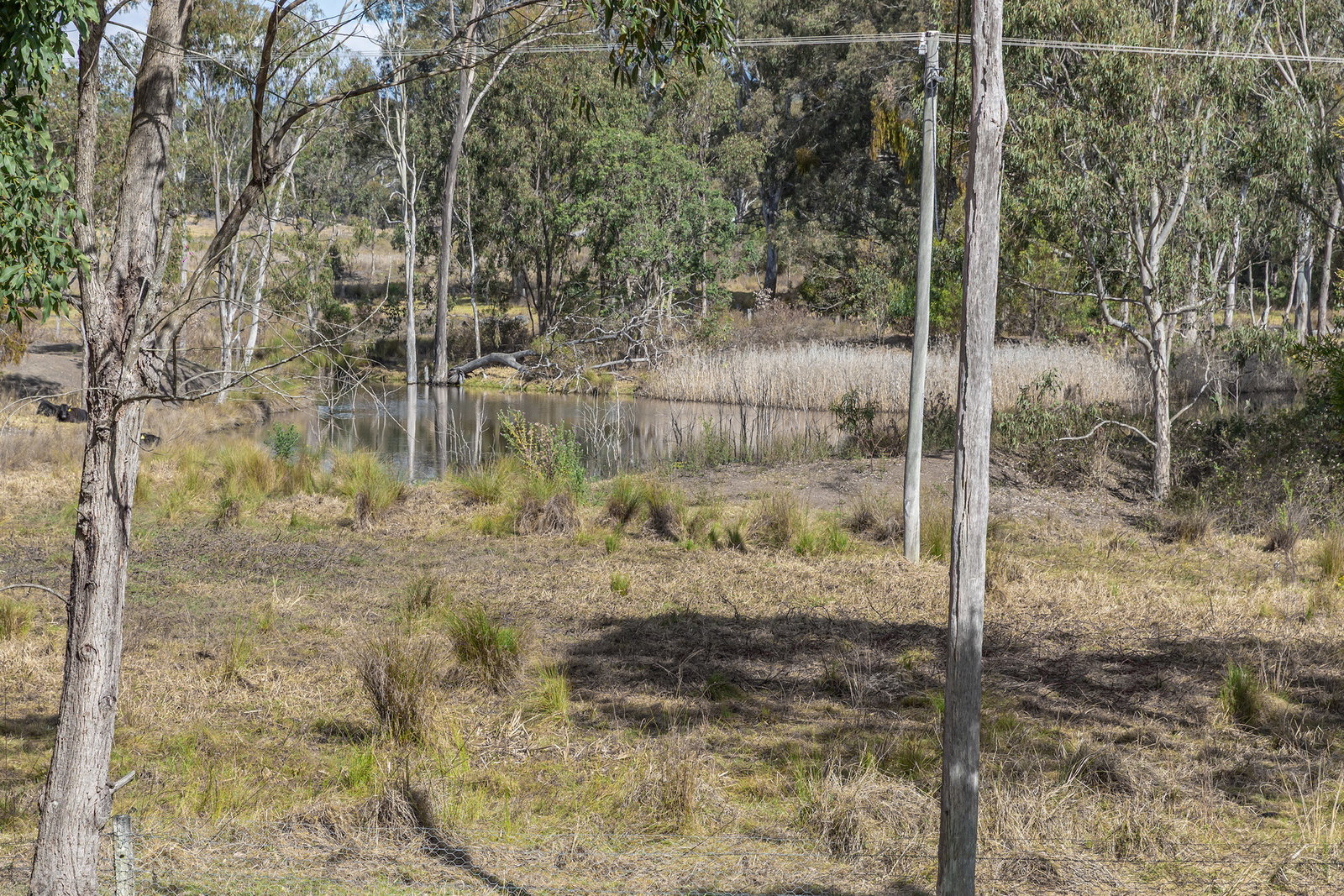 12 Middle Road, Pierces Creek  QLD  4355
