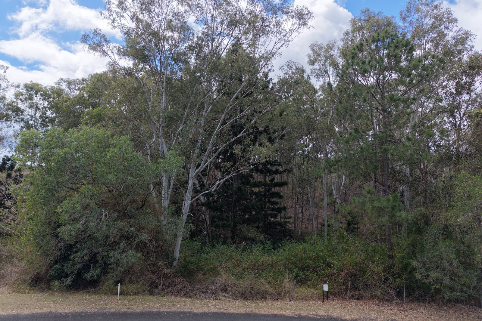 Donelly Street, Mount Perry  QLD  4671