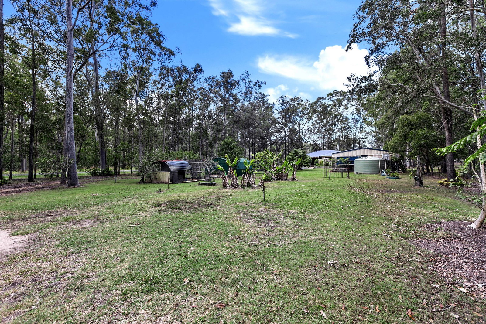 56 Springvale Road, Tinana  QLD  4650