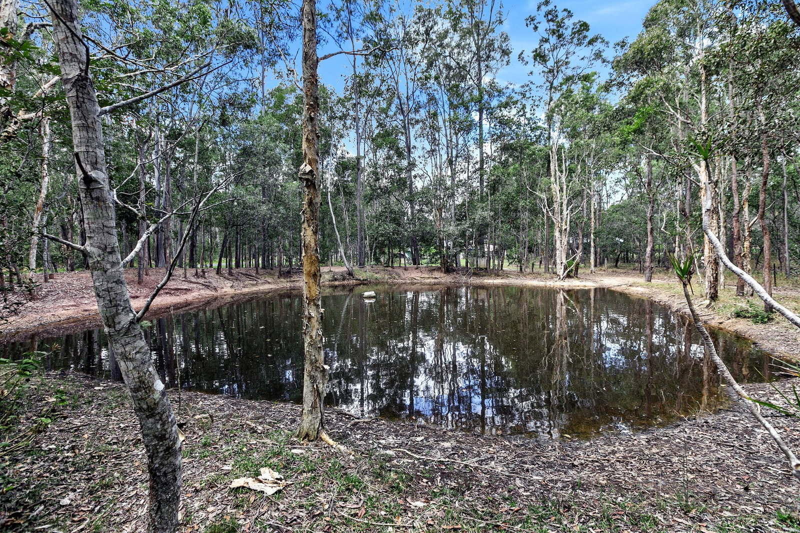 56 Springvale Road, Tinana  QLD  4650