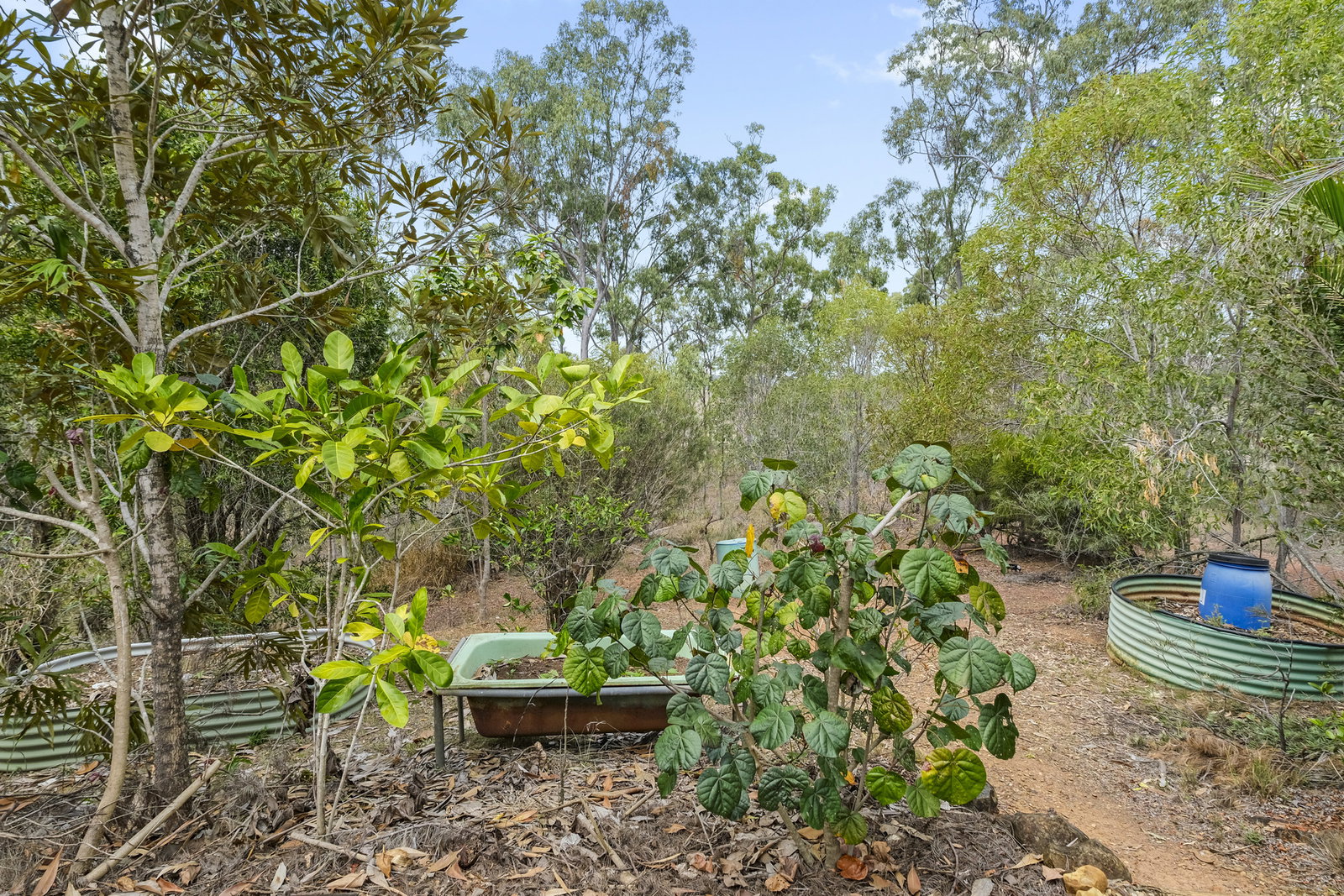 257 Sondergelds Road, McIlwraith  QLD  4671