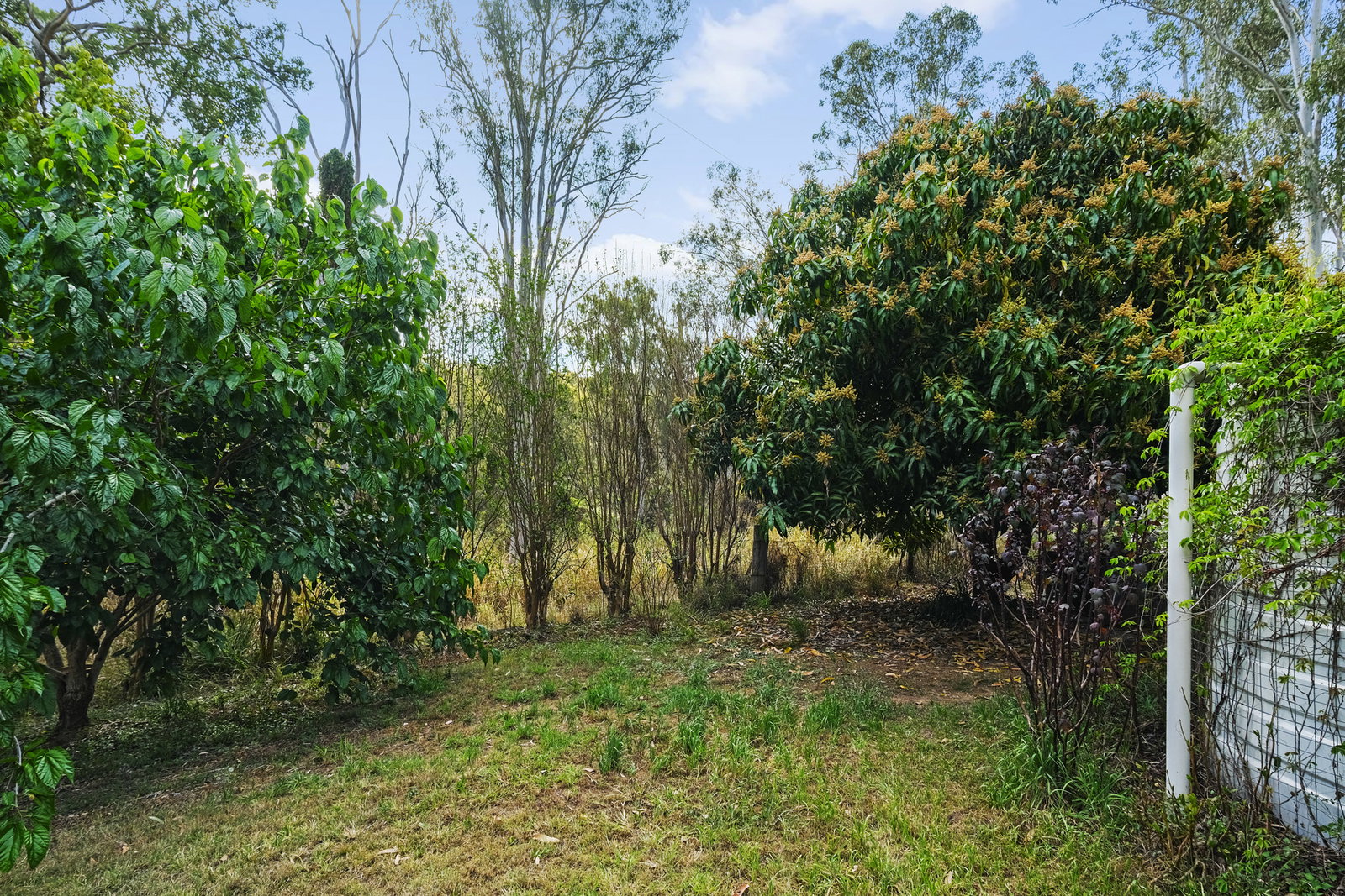 100 Park Reserve Road, Mount Perry  QLD  4671
