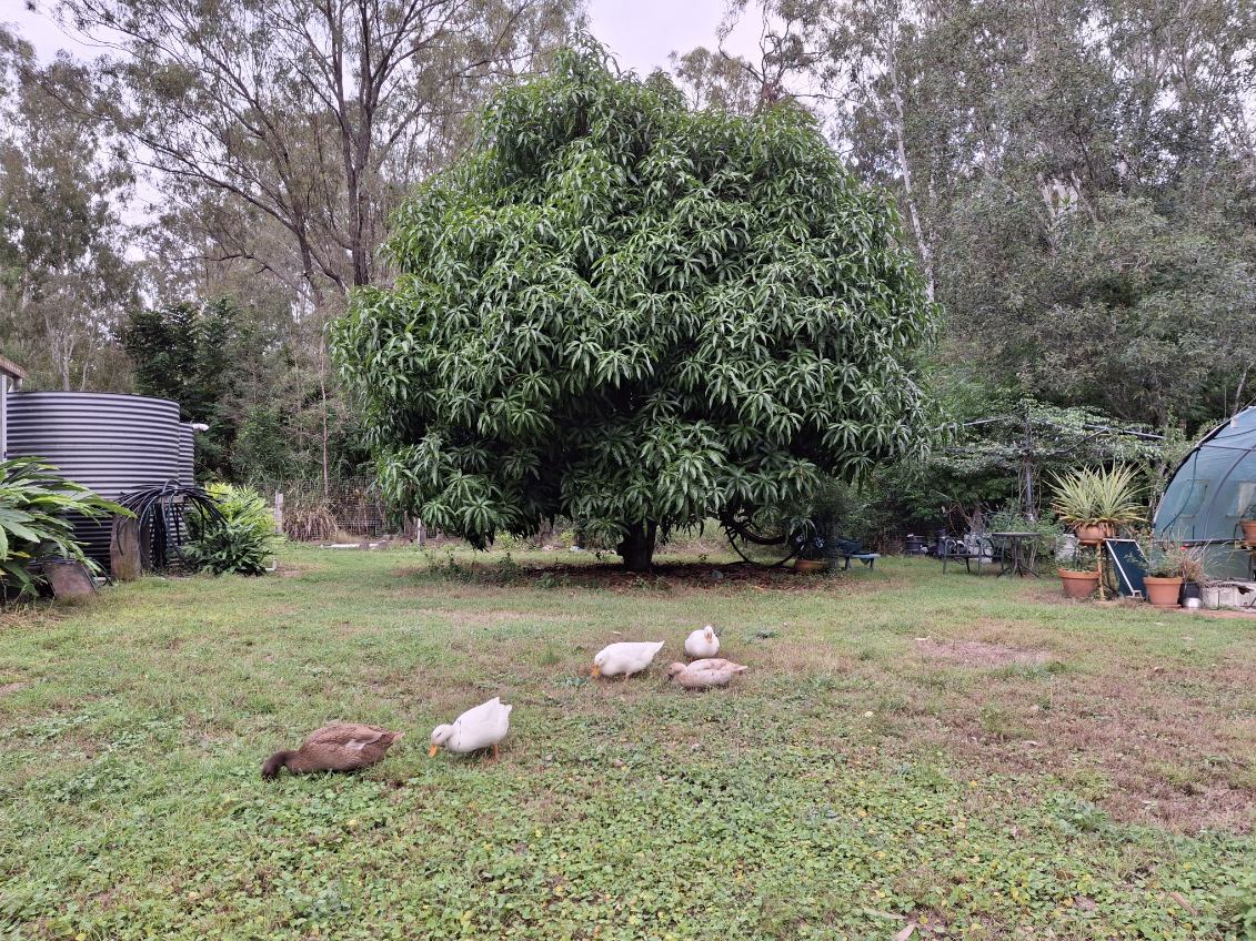 100 Park Reserve Road, Mount Perry  QLD  4671