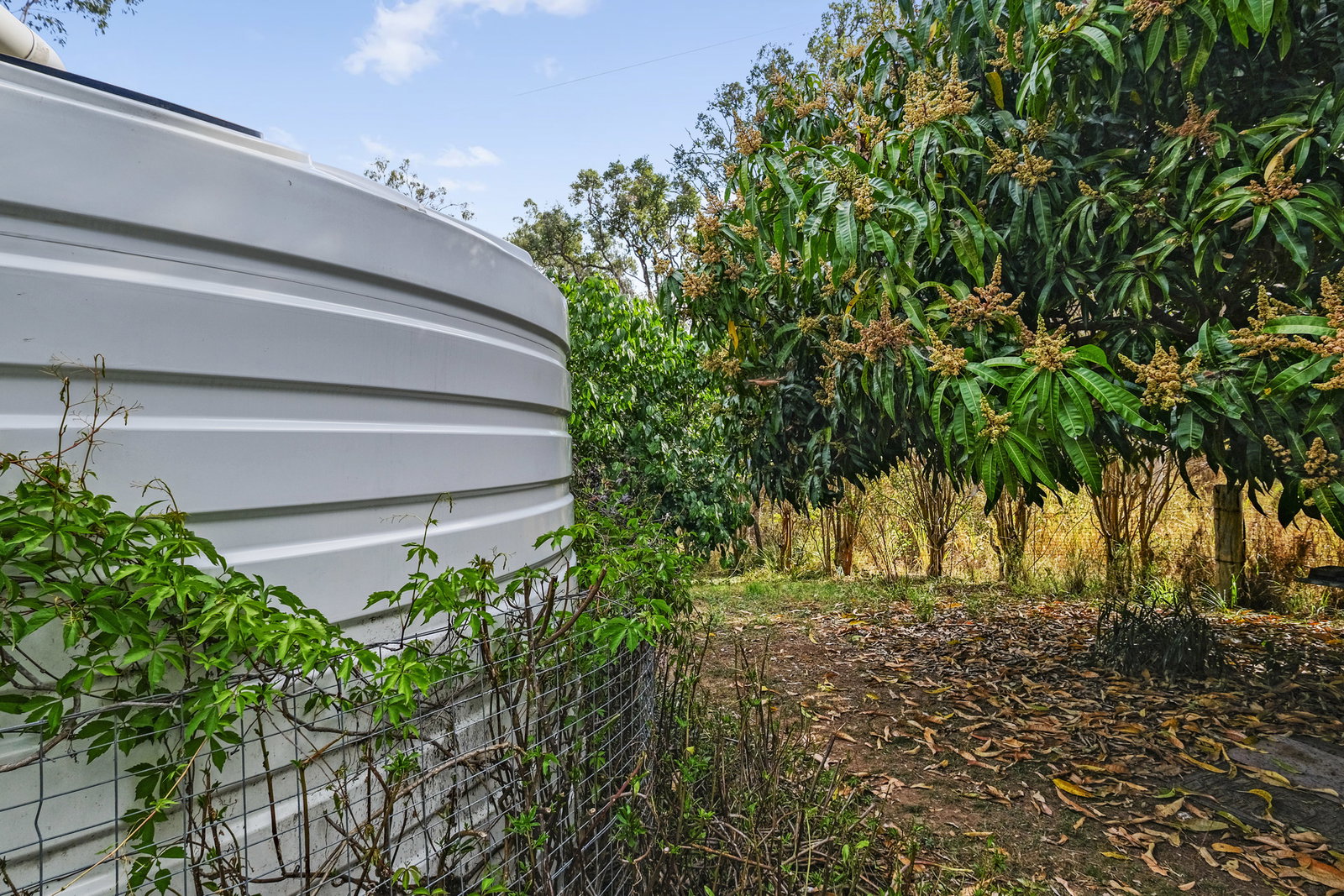 100 Park Reserve Road, Mount Perry  QLD  4671