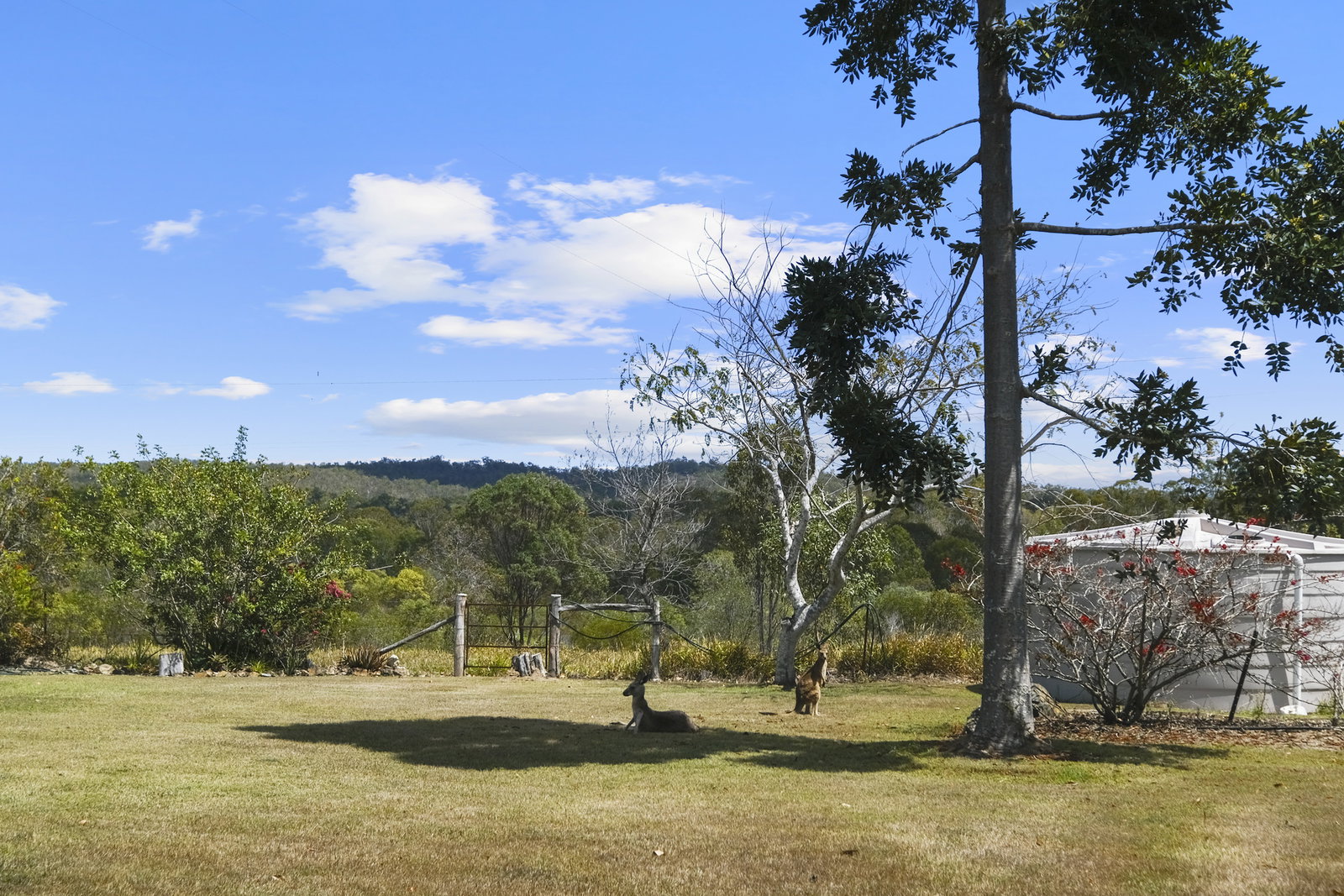 586 Tableland Road, Dalysford  QLD  4671