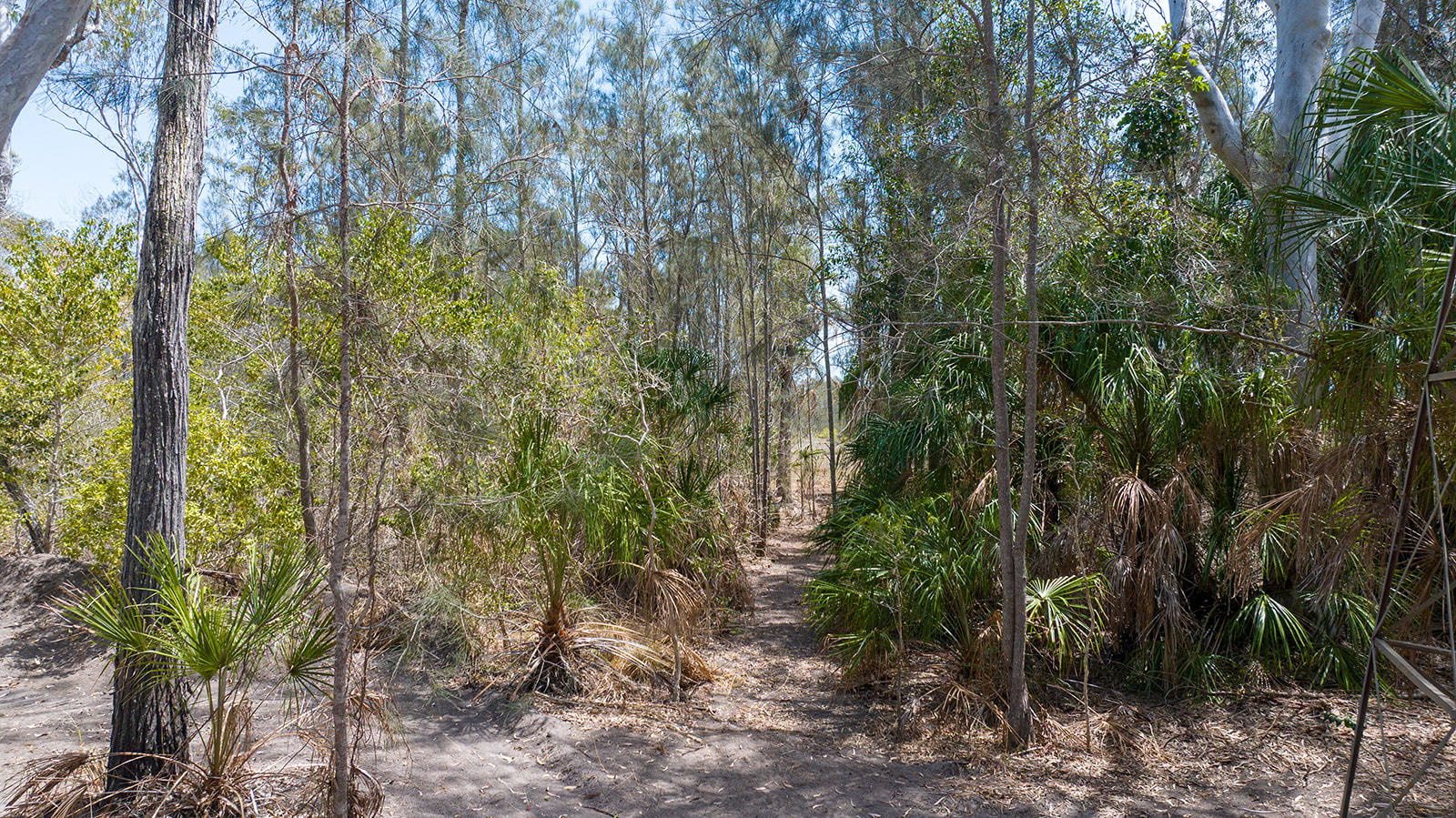 L107 Innamincka Way, Agnes Water  QLD  4677