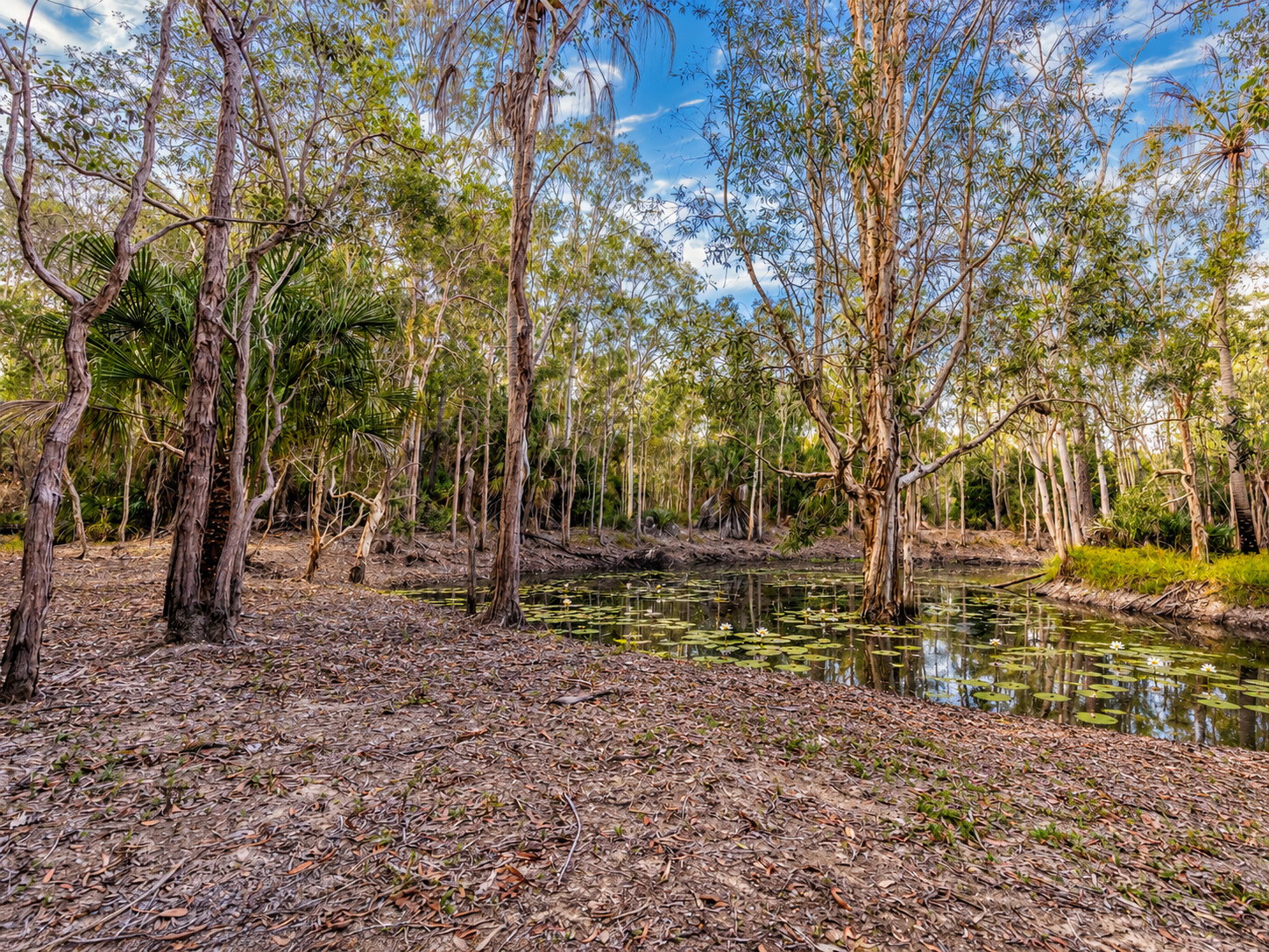 151 Fitzroy Crescent, Agnes Water  QLD  4677