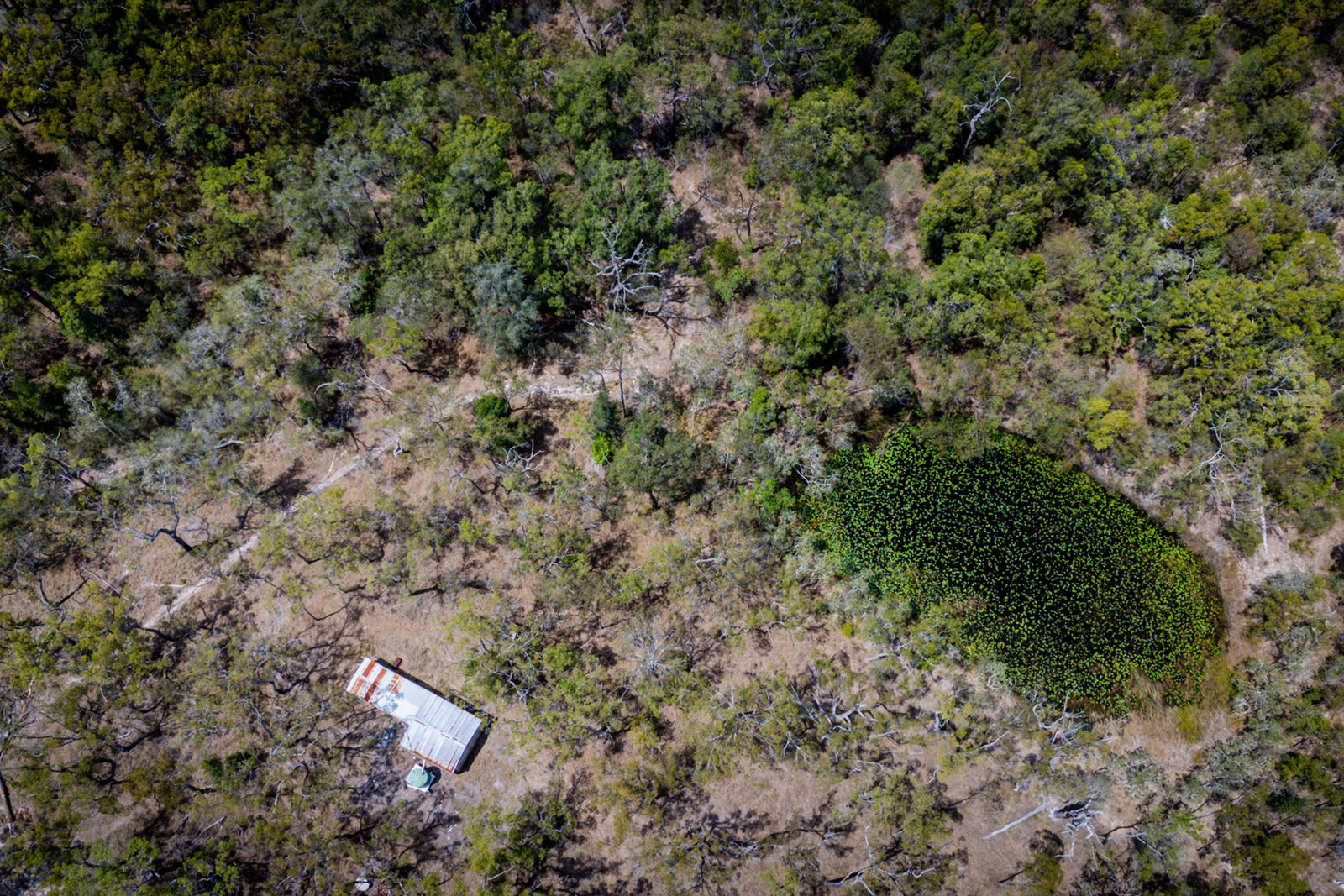 356 Baldaw Road, Captain Creek  QLD  4677