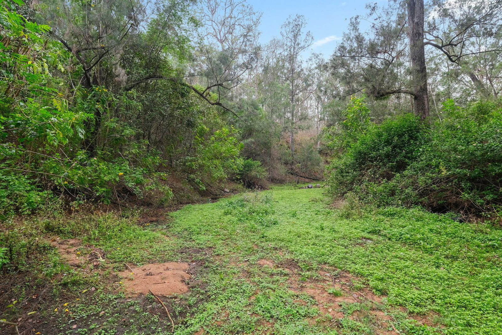 1371 Gaeta Road, Gaeta  QLD  4671