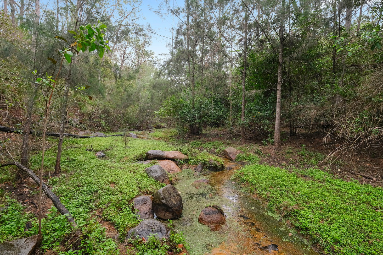 1371 Gaeta Road, Gaeta  QLD  4671