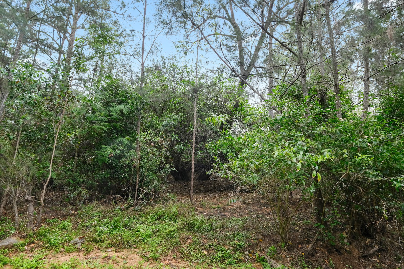 1371 Gaeta Road, Gaeta  QLD  4671
