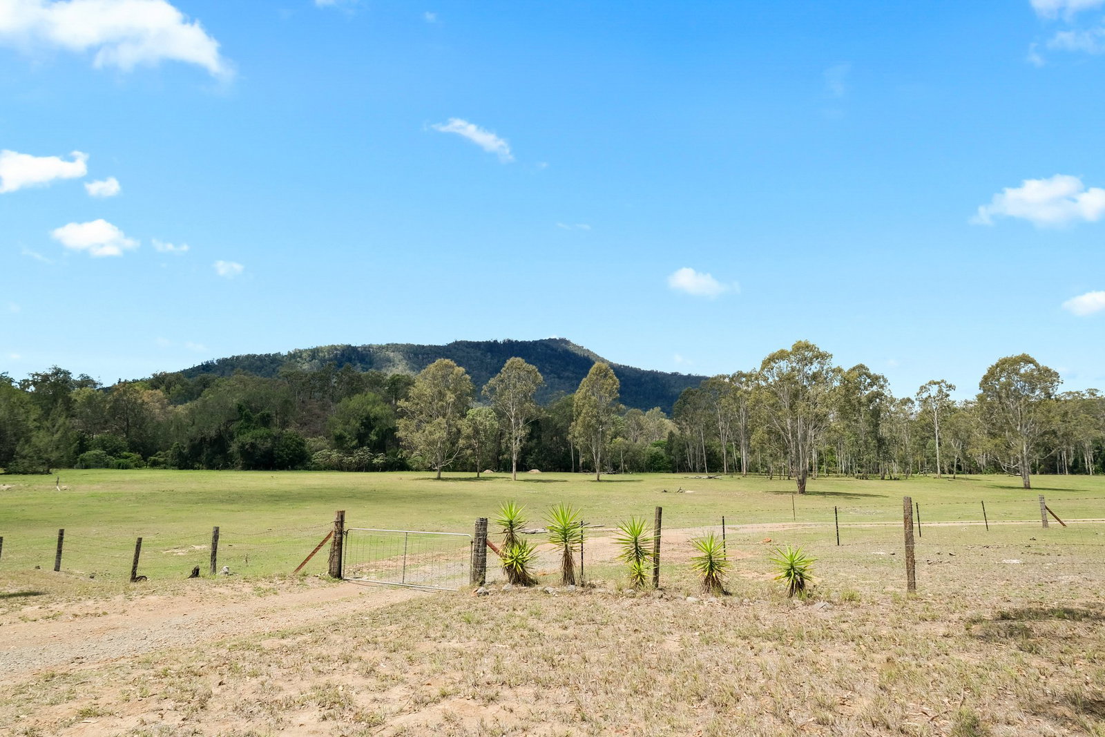 5296 Gayndah – Mount Perry Road, Mount Perry  QLD  4671